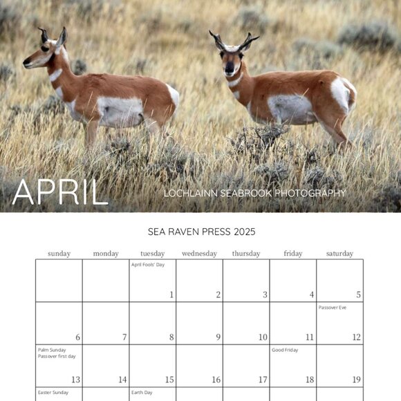 Mini 2025 Rocky Mountain Custom Wildlife Calendar For Small Spaces 11.5" x 8" - Picture 5 of 13